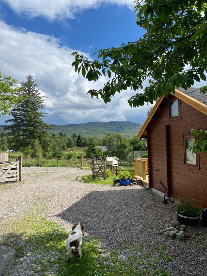 Hill Cottage Cabins Форт Аугустус Екстериор снимка